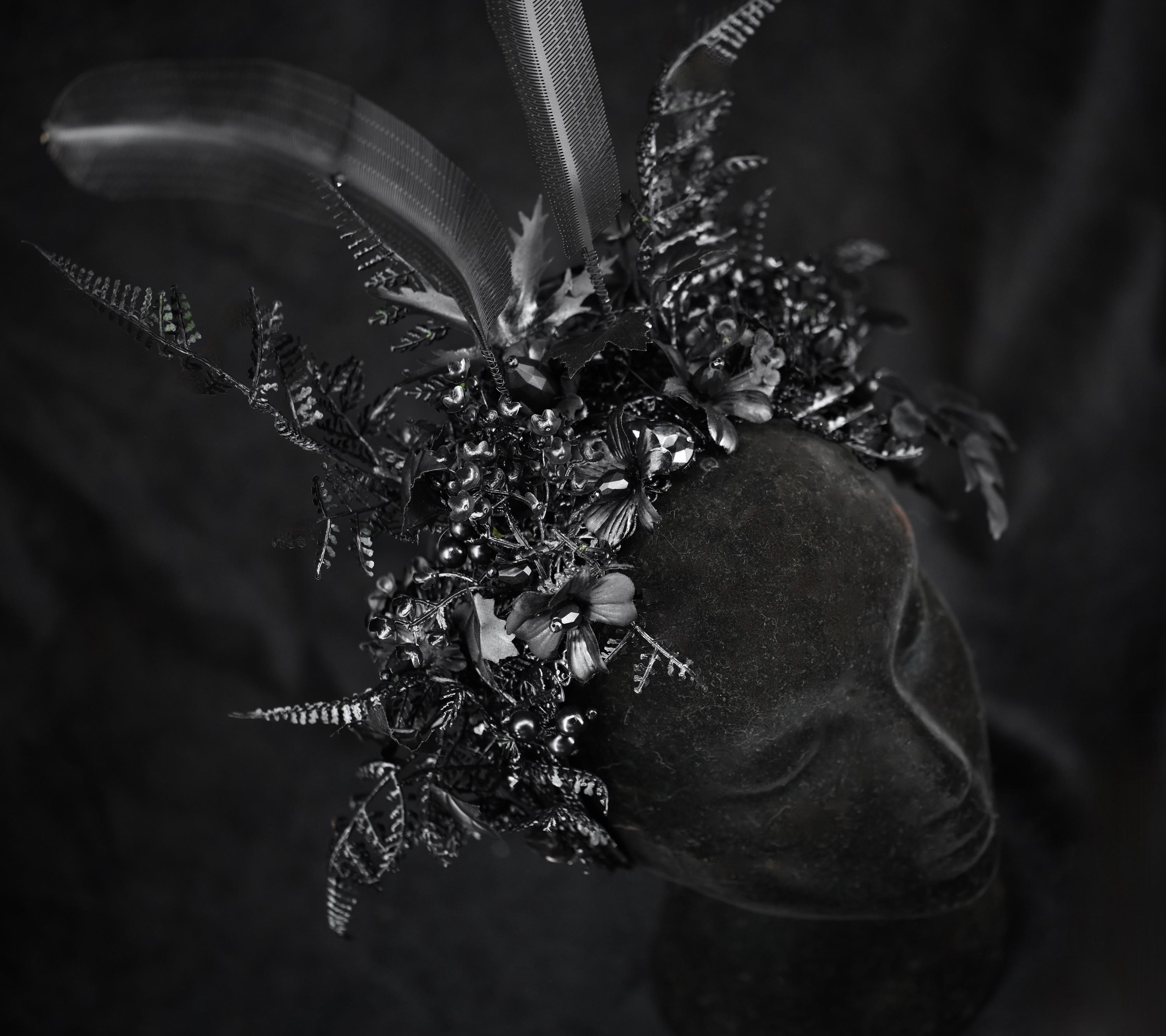 Black Moth Midnight Garden Crown