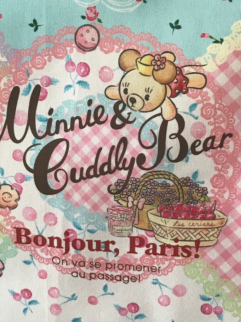 Eiffel Disney Minnie Japanese Napkin Pink And Blue Gingham with Roses