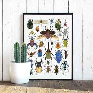 Bugs Illustration, insect wall Art, Instant download beetles poster, vertical bug printable art, vector graphic design, bugs interior design