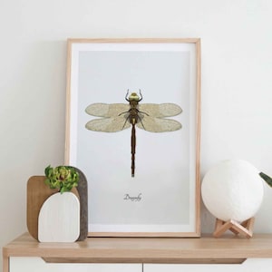 Libelle Illustration, Sofortiger Download Insekt Wand Kunst, Insekt Poster, vertikale Fehler druckbare Kunst, Portrait Käfer Kunst Wanddekoration