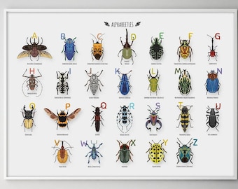 Alphabet Beetles Illustrations Print, Horizontal ABC Poster, Nursery A-Z Art, Classroom insects Decor, Bugs Boy Bedroom Wall Art, Printable