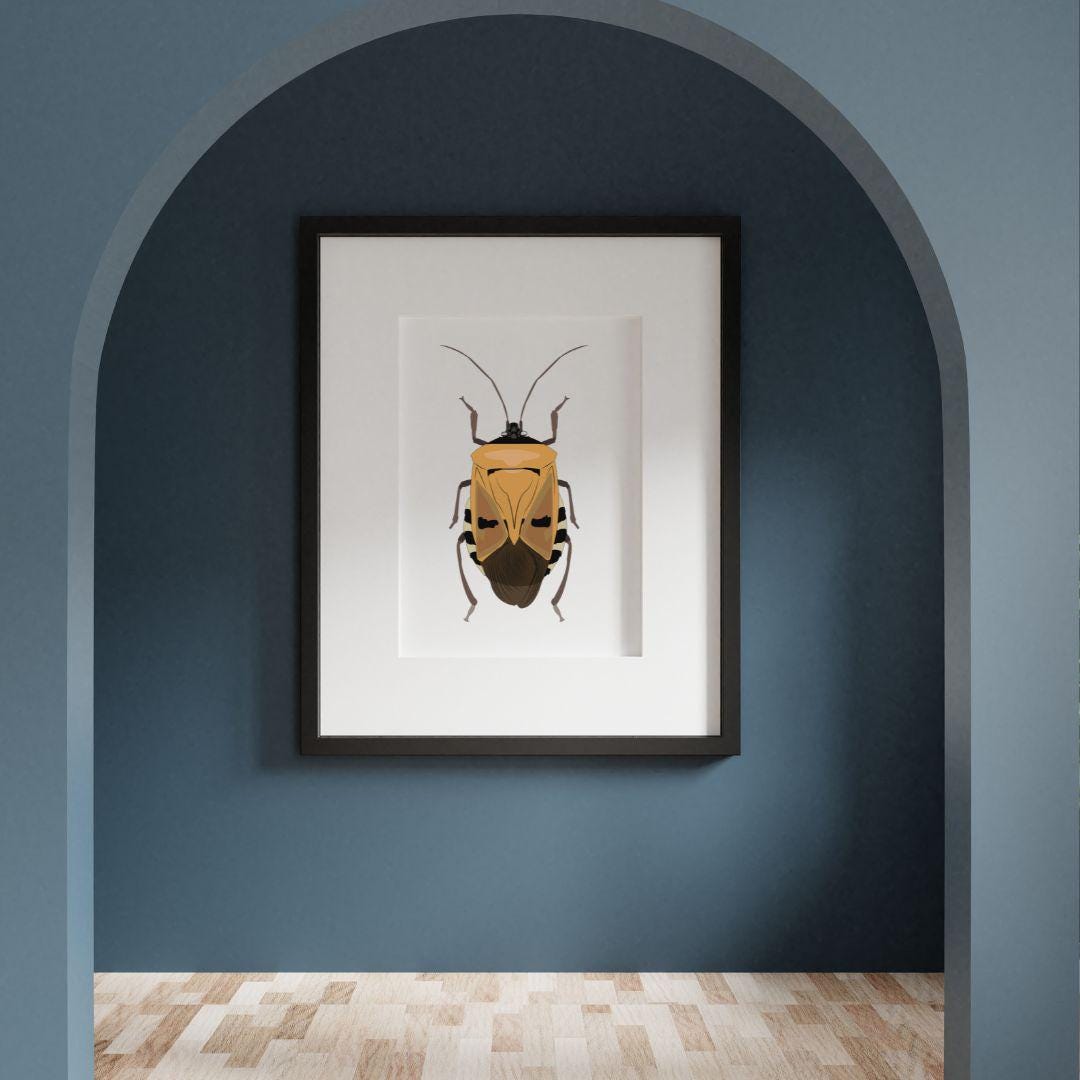 Man-faced Stink Bug Illustration, Insect Wall Art (digital Download) - Etsy