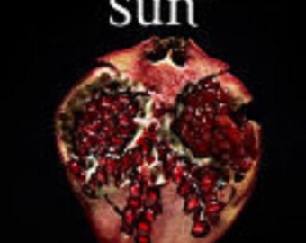 midnight sun ebook midnight sun ebook