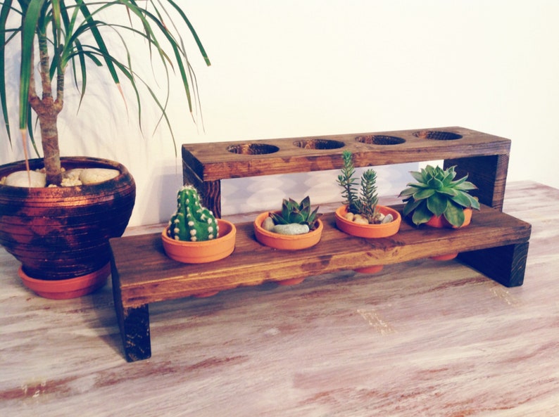 indoor plant stand with pot plant propagation station for succulents pots holdet Mini planter for plant propagation with teracotta pots