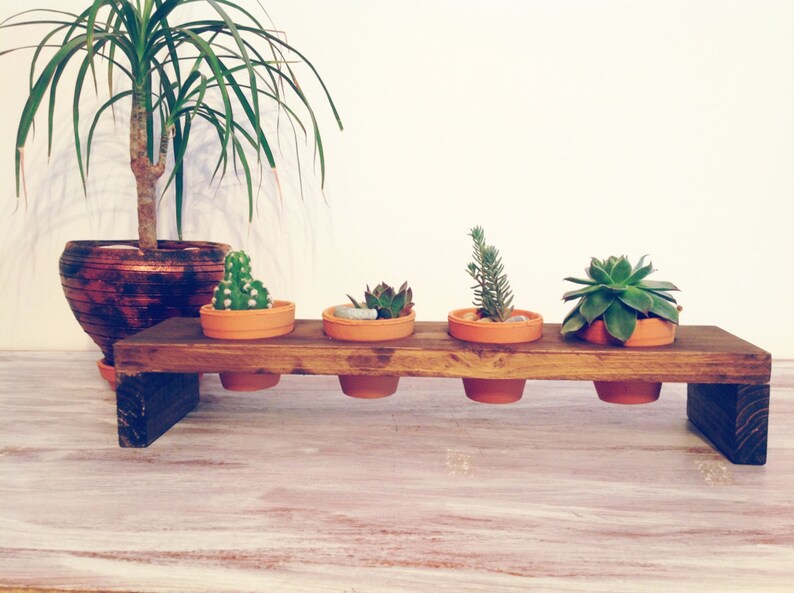 indoor plant stand with pot plant propagation station for succulents pots holdet Mini planter for plant propagation with teracotta pots