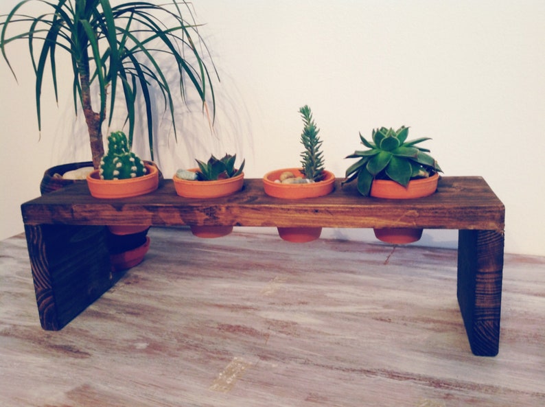 indoor plant stand with pot plant propagation station for succulents pots holdet Mini planter for plant propagation with teracotta pots