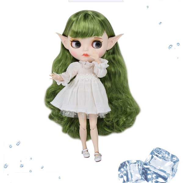 Blyth Custom Doll from Factory Green Long Hair