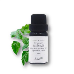 Aceite esencial puro de pachulí orgánico (Pogostemon patchouli)