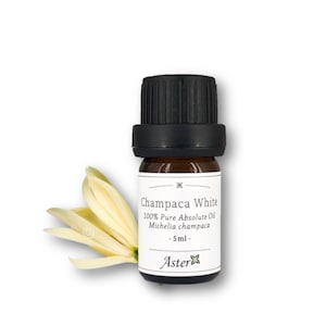 100% White Champaca Absolute Oil