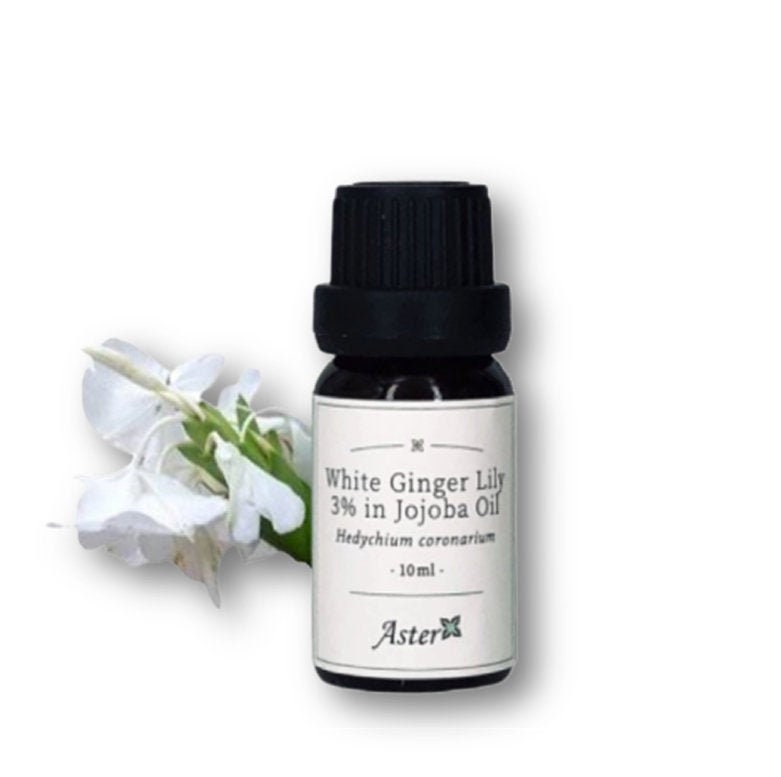 3 White Ginger Lily Hedychium Coronarium In Jojoba Oil Etsy 3 White Ginger Lily Hedychium Coronarium In Jojoba Oil Etsy