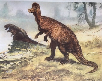 Corythosaurus Etsy