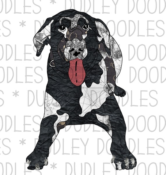 Black Lab Labrador Retriever Altered Art Collage Abstract - Etsy