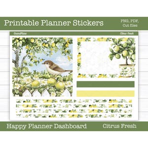 Adesivi stampabili per planner, kit di adesivi settimanali Citrus Fresh, layout dashboard Happy Planner, adesivi per dashboard, file di taglio, Cricut PNG