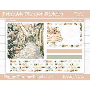 Adesivi stampabili per planner, kit di adesivi settimanali Peachy Vibes, layout dashboard Happy Planner, adesivi per dashboard, file di taglio, Cricut PNG