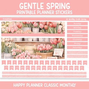 Gentle Spring Monthly Sticker Kit for the Classic Happy Planner (Printable)