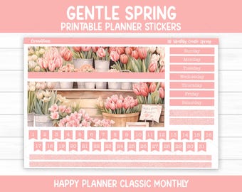 Gentle Spring Monthly Sticker Kit for the Classic Happy Planner (Printable)
