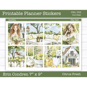 Printable Planner Stickers, Citrus Fresh  Weekly Sticker Kit, Erin Condren Planner Stickers, Vertical Sticker Kit, Cut File, Cricut PNG