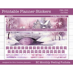 Printable Planner Stickers, Feeling Fuchsia, Monthly Kit, Erin Condren Vertical Sticker Kit, Winter Stickers, Cut Files, Cricut PNG