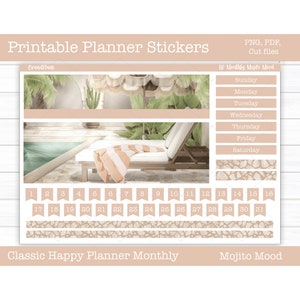Printable Planner Stickers, Mojito Mood Monthly Sticker Kit, Happy Planner, Summer Stickers, Cut Files, Cricut PNG