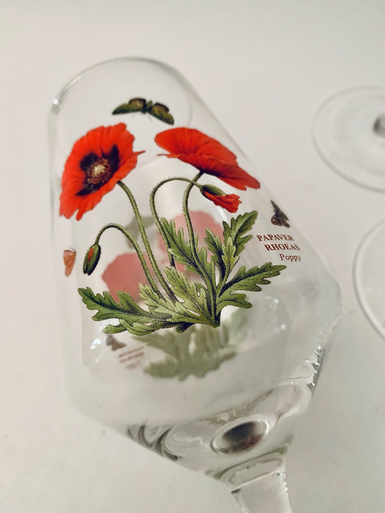 Portmeirion Botanic Garden Wine Glasses Set of 4 Etsy