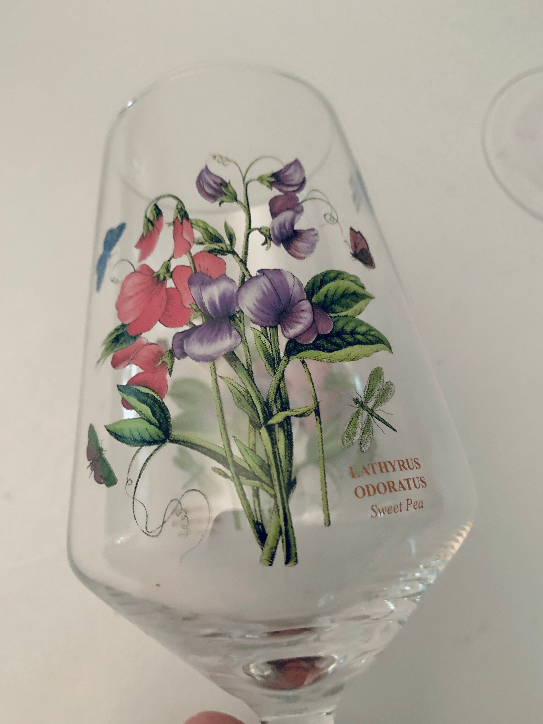 Portmeirion Botanic Garden Wine Glasses Set of 4 Etsy