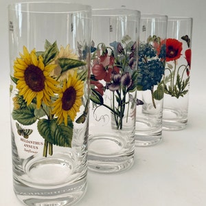 Portmeirion Botanic Garden Highball Getränkegläser - Set mit (4)