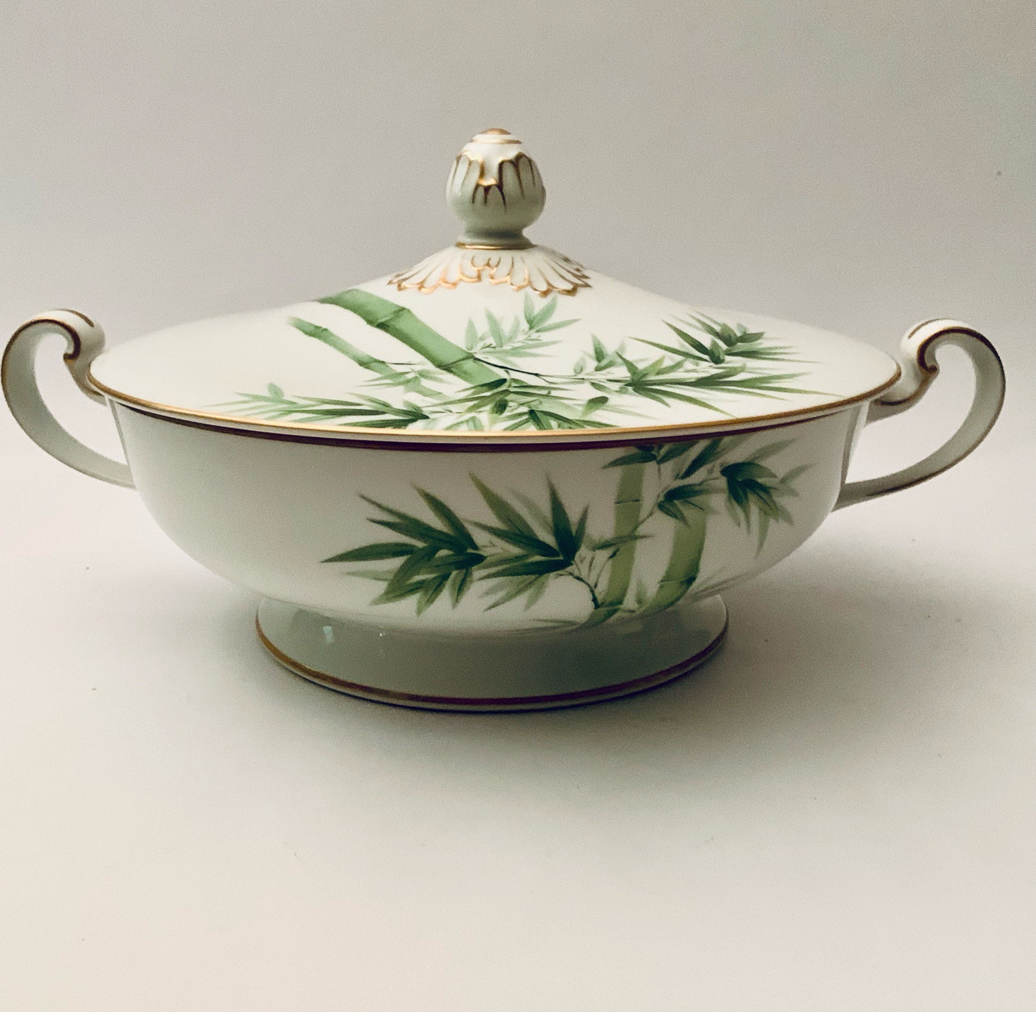 Nippon Noritake Toki Kaisha Green Bamboo #1538G Covered