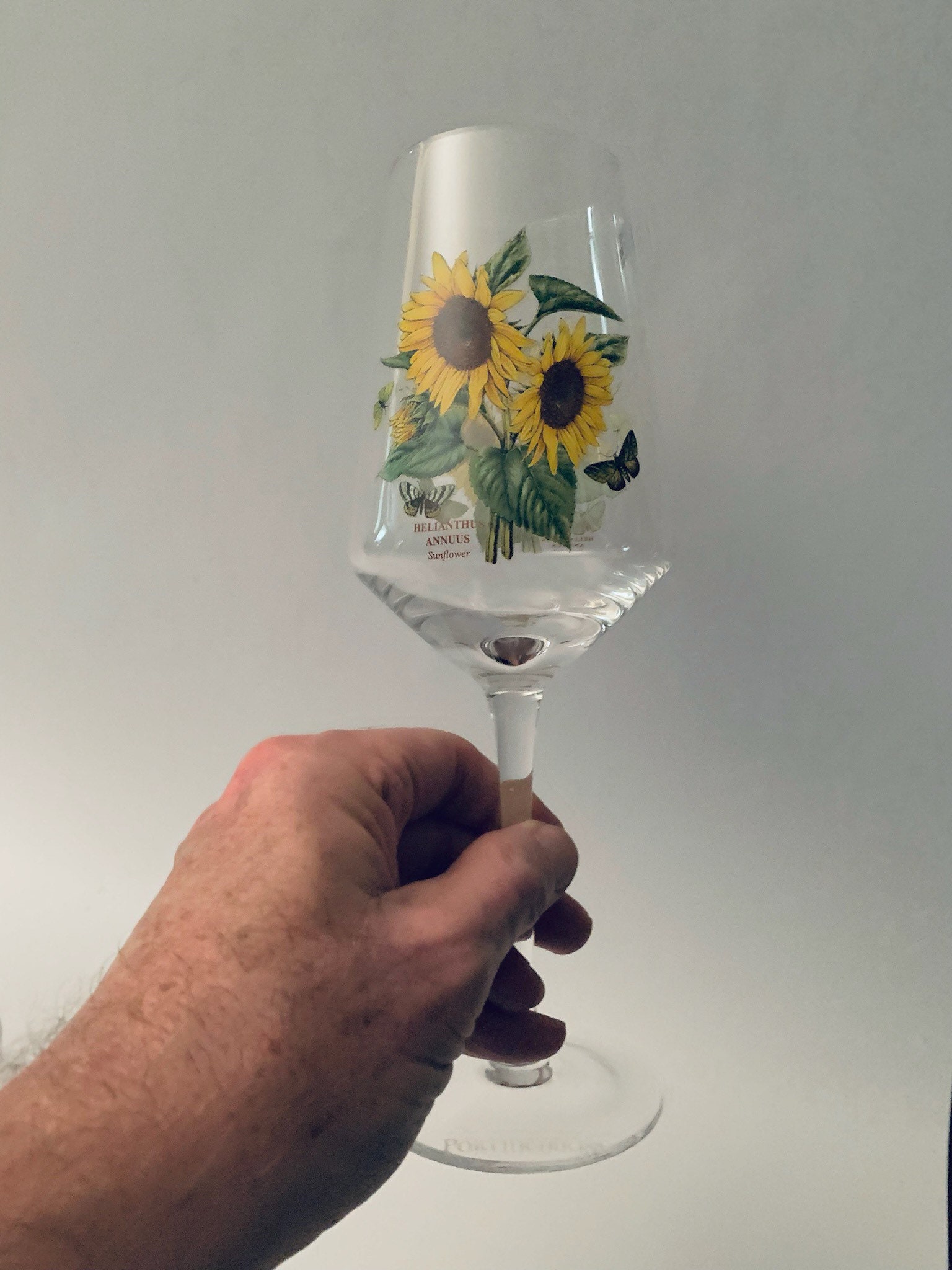 Portmeirion Botanic Garden Wine Glasses Set of 4 Etsy