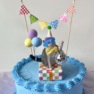 Disco Cat Cake Topper: Birthday Party Decoration