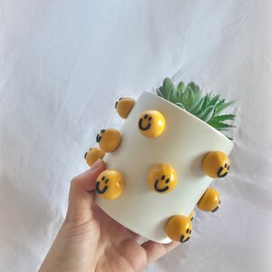 May include: White ceramic planter with yellow smiley faces and a small green succulent plant inside.