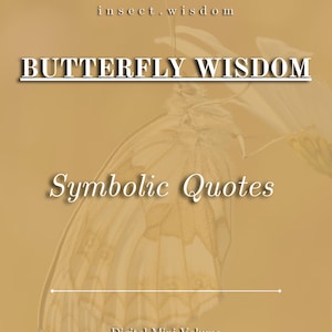 May include: A digital mini volume titled "Butterfly Wisdom" with the text "Symbolic Quotes" on a tan background. The image features a butterfly with detailed wing patterns. The words "insect.wisdom" are at the top.