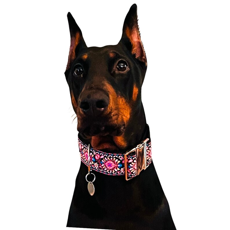 Rockette | 2" Wide Regular or Metal Buckle Dog Collar, Large Breed image 10