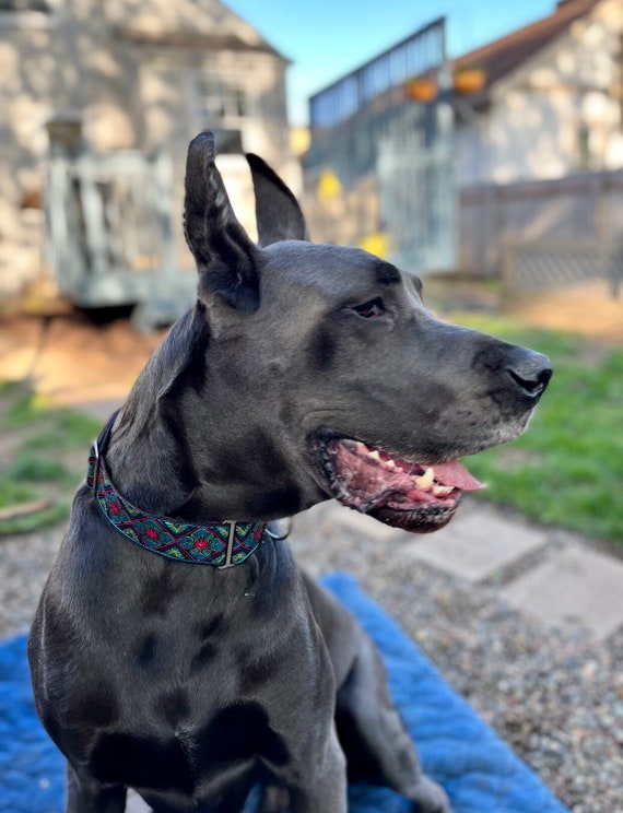 Stained Glass 2 Inch Wide Martingale Buckle Martingale or Chain Martingale Dog Collar for Large or Giant Breed Dogs. Satin Lined. Etsy