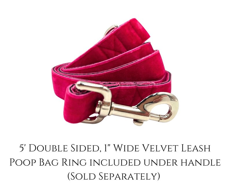 Rockette | 2" Wide Regular or Metal Buckle Dog Collar, Large Breed image 4