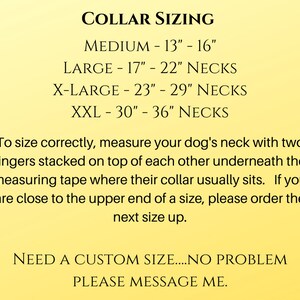 Rockette | 2" Wide Regular or Metal Buckle Dog Collar, Large Breed image 6