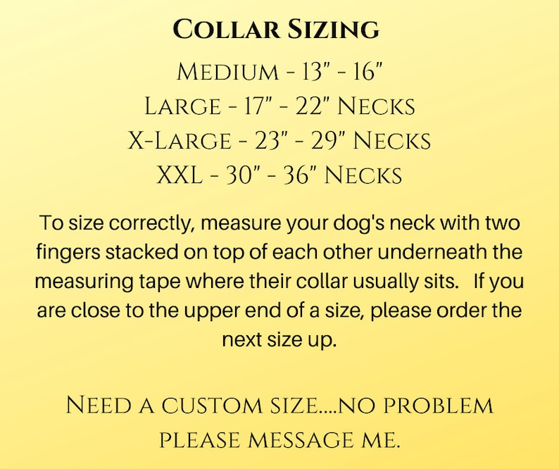 Rockette | 2" Wide Regular or Metal Buckle Dog Collar, Large Breed image 6