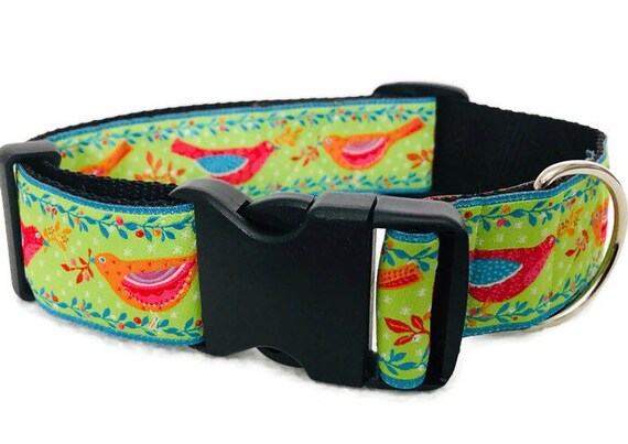bird dog collars
