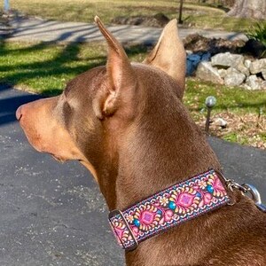 Rockette | 2" Wide Regular or Metal Buckle Dog Collar, Large Breed image 9