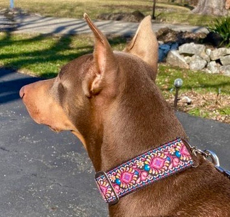Rockette | 2" Wide Regular or Metal Buckle Dog Collar, Large Breed image 9