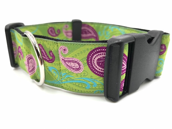 Purple paisley sale dog collar