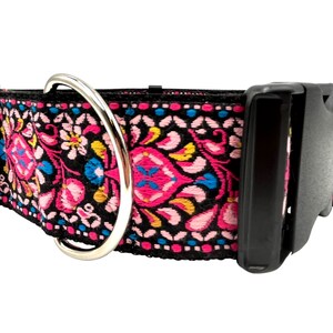 Rockette | 2" Wide Regular or Metal Buckle Dog Collar, Large Breed image 2