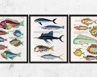 Tropical Fish Print Set, Tropical Decor, Kitchen Wall Art, Laundry Room Wall Art, Beach House Decor, Nautical Decor, Vintage Fish Print