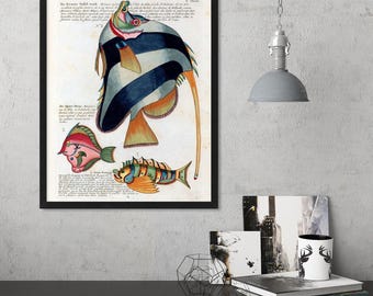 Lámina artística vintage de peces, decoración náutica costera