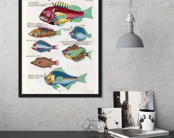 Lámina artística vintage de peces, decoración costera para el baño