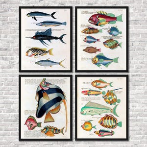 Vintage Fish and Ocean Collage Print Set, Giclee, Prints, Fish Prints, Wall Art, Prints, Vintage Fish Prints, Art