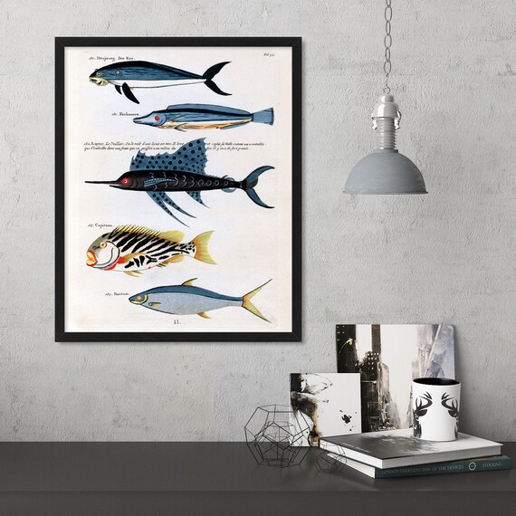 Bathroom Wall Art Vintage Fish Print Kitchen Decor Nautical Etsy