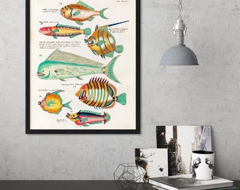 Vintage Mahi Mahi-print: mat giclee-archiveringpapier