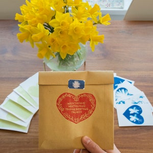 Kit per la stampa del sole in cianotipia di fiori e piante a tema amore