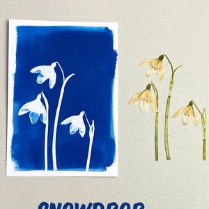 Snowdrop Cyanotype Print for plant lovers