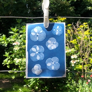 May include: A cyan blue piece of paper with white flower shapes printed on it. The paper is hanging on a clothesline.